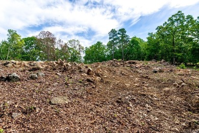 ONLY 2 LOTS REMAINING!!! Premium 3.26 acre cul-de-sac lot in a - photo 30