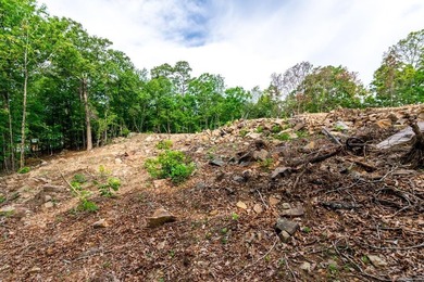 ONLY 2 LOTS REMAINING!!! Premium 3.26 acre cul-de-sac lot in a - photo 31