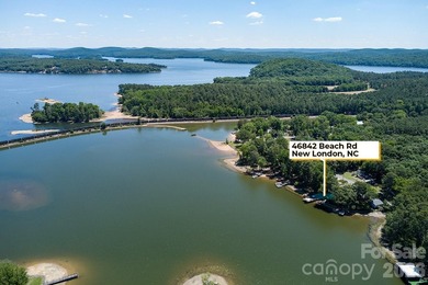 Escape to paradise in this inviting, spacious lakefront home - photo 5