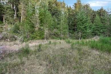 Discover the potential of this 1.51-acre multi-residential - photo 11
