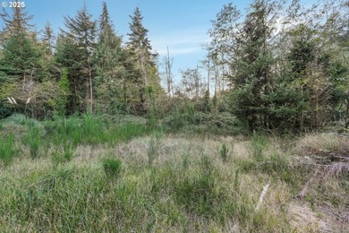 Discover the potential of this 1.51-acre multi-residential - photo 12