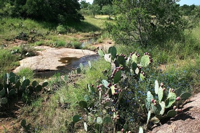 This beautiful hill country ranch consists of 817+/- acres and - photo 14