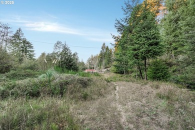 Discover the potential of this 1.51-acre multi-residential - photo 14