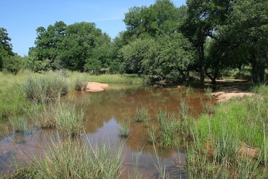 This beautiful hill country ranch consists of 817+/- acres and - photo 15