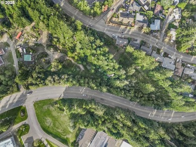Discover the potential of this 1.51-acre multi-residential - photo 16