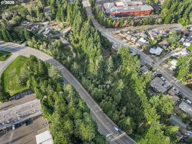 Discover the potential of this 1.51-acre multi-residential - photo 17
