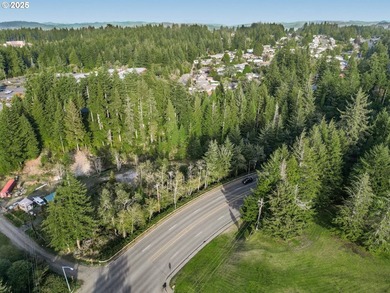 Discover the potential of this 1.51-acre multi-residential - photo 18