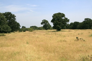 This beautiful hill country ranch consists of 817+/- acres and - photo 20