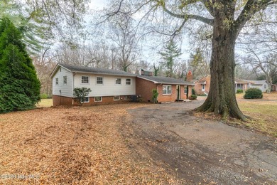 Come see this 4 Bedroom Split-level! This home has 3 bedrooms - photo 3