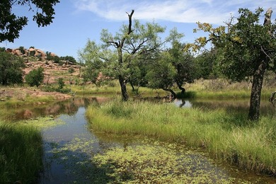 This beautiful hill country ranch consists of 817+/- acres and - photo 25