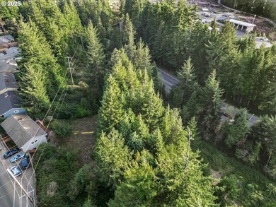 Discover the potential of this 1.51-acre multi-residential - photo 26