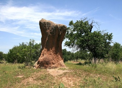 This beautiful hill country ranch consists of 817+/- acres and - photo 29
