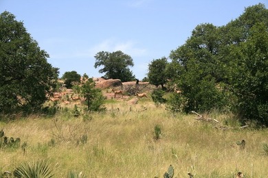 This beautiful hill country ranch consists of 817+/- acres and - photo 30