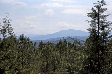 Experience mountain living at its finest with this 4 bedroom, 3 - photo 40