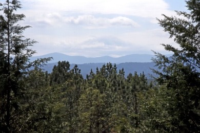 Experience mountain living at its finest with this 4 bedroom, 3 - photo 41
