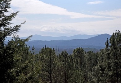 Experience mountain living at its finest with this 4 bedroom, 3 - photo 46