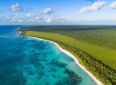 The Ritz-Carlton Residences, Riviera Maya is more than a - photo 8