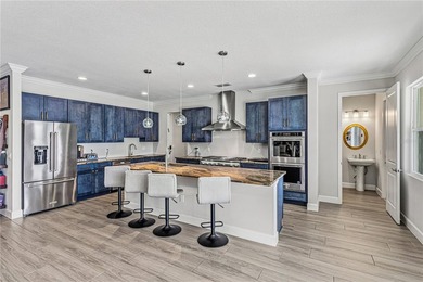 Welcome to 264 Lady Alice Drive -- a fully customized, newly - photo 9