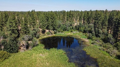 Across the street from Sun Cove Resort and Clear Lake! - photo 18