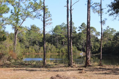 (private lake, pond, creek) Lot For Sale in Defuniak Springs Florida