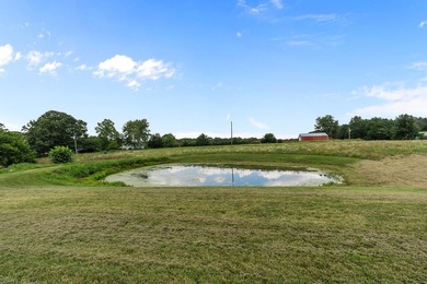 Welcome to 3128 New Hope Road in Fordland, Missouri. This - photo 27