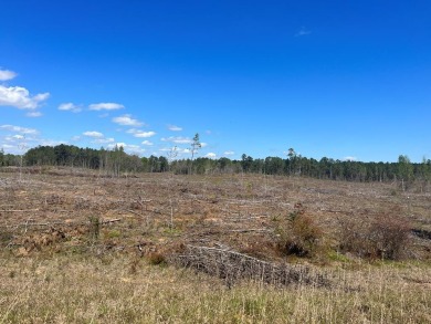 Lake Eufaula / Walter F George Reservoir Lot For Sale in Abbeville Alabama
