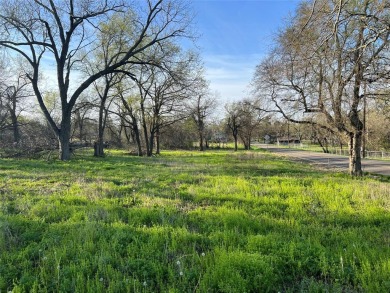 Lake Lot For Sale in Honey Grove, Texas