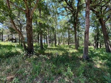 Beautiful shaded waterfront lot - Lake Acreage For Sale in Streetman, Texas