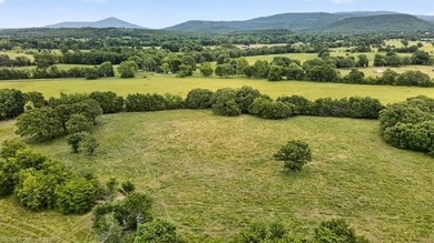 20.6 +/- acres of level improved pasture with a pond just 1.6 - photo 15