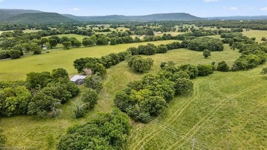 20.6 +/- acres of level improved pasture with a pond just 1.6 - photo 17
