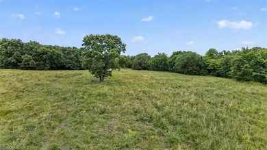 20.6 +/- acres of level improved pasture with a pond just 1.6 - photo 19