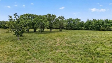 20.6 +/- acres of level improved pasture with a pond just 1.6 - photo 21