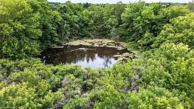20.6 +/- acres of level improved pasture with a pond just 1.6 - photo 23