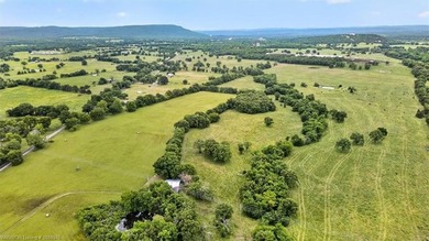 20.6 +/- acres of level improved pasture with a pond just 1.6 - photo 24