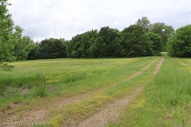 120-Acre Secluded - Pasture, Prime Hunting This property is - photo 4