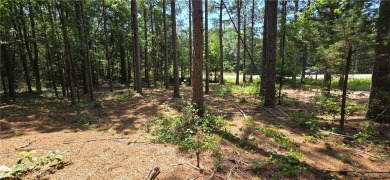 Lake Hartwell Acreage For Sale in Fair Play South Carolina