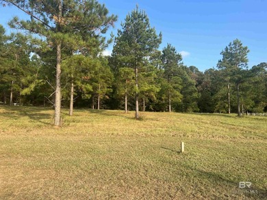 Discover a slice of paradise in North Hills at Fairhope with - photo 3