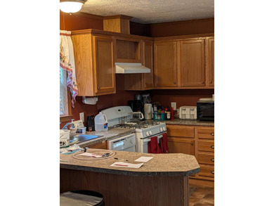 Wonderful opportunity-rare find on Pokegama. Few properties come - photo 10