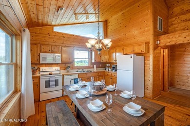Great views of the Smoky Mountains! Generating just under $65K - photo 12