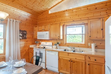 Great views of the Smoky Mountains! Generating just under $65K - photo 15