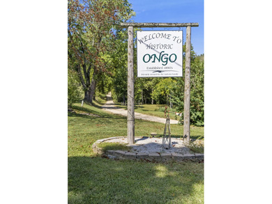 Welcome to Ongo, Missouri, an unincorporated community dating - photo 17