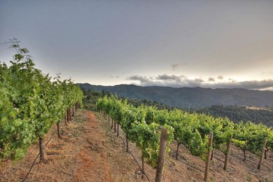Sits on a picturesque 5.07 acres in Saratoga Hills with - photo 31