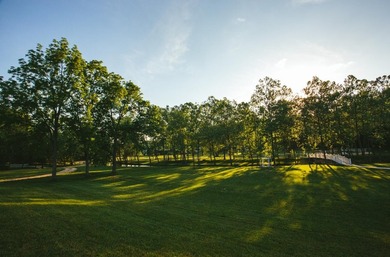 Welcome to Ongo, Missouri, an unincorporated community dating - photo 34