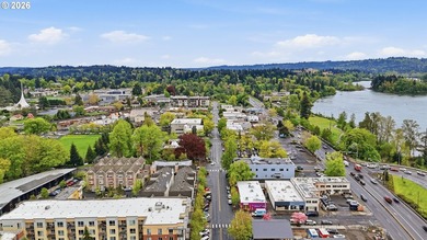 Historic Milwaukie Condo property sit on the Willamette River - photo 34