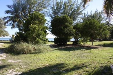 Beautiful 200' of oceanfront property on Lower Matecumbe Key - photo 12