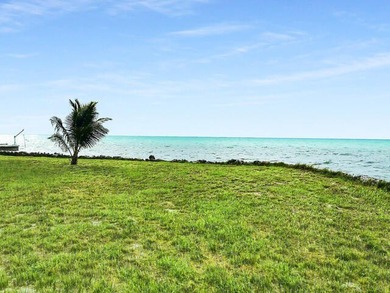 Beautiful 200' of oceanfront property on Lower Matecumbe Key - photo 13