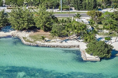 Beautiful 200' of oceanfront property on Lower Matecumbe Key - photo 14