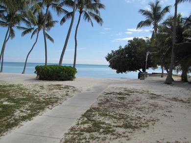 Beautiful 200' of oceanfront property on Lower Matecumbe Key - photo 18