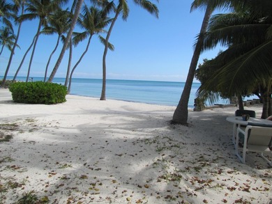 Beautiful 200' of oceanfront property on Lower Matecumbe Key - photo 19