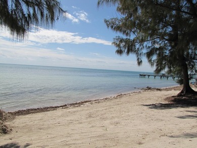 Beautiful 200' of oceanfront property on Lower Matecumbe Key - photo 21